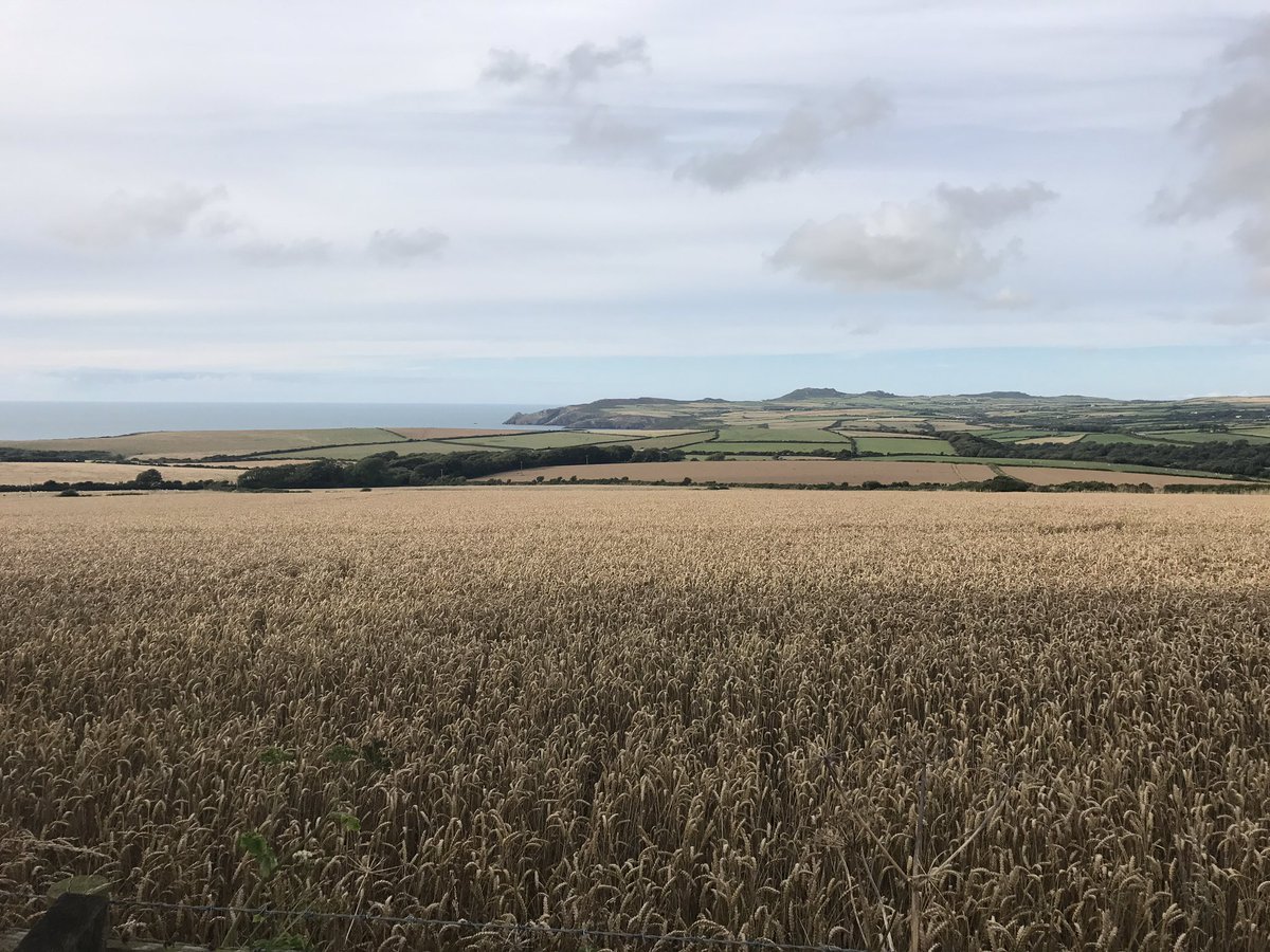 profchrisham's tweet image. Evening bike ride