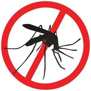 Mosquito Fumigation Services. Residential | Commercial properties.
