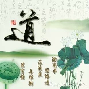 法于阴阳，和于术数。
