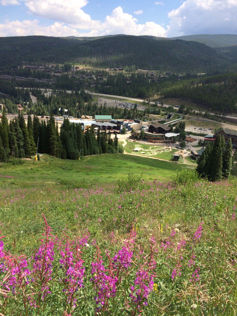 gojaywalk's tweet photo. '#BeautifulView' @ Grand County,United States https://t.co/5IGcQaVVNi Download @ https://t.co/0woTEayypZ https://t.co/DjiohYHXBc