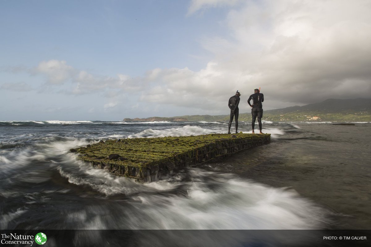 Mexico_TNC's tweet image. "Las decisiones del Pres. de EUA sobre cambio climático tendrán hasta cierto punto un impacto limitado" - @isastuder bit.ly/2vbCibW