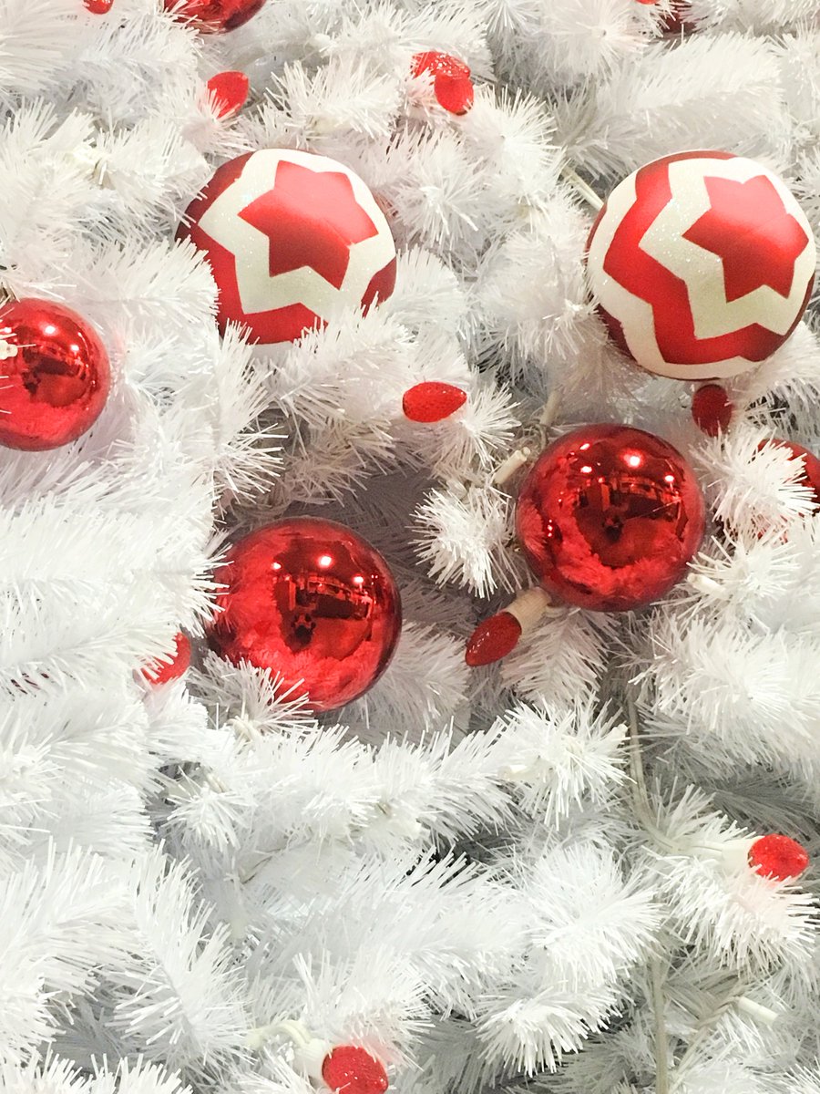 OakIslandCreate's tweet photo. We're dreaming of a white Christmas π #OakIslandCreative #HolidayCreative https://t.co/jtO5mJMKgR