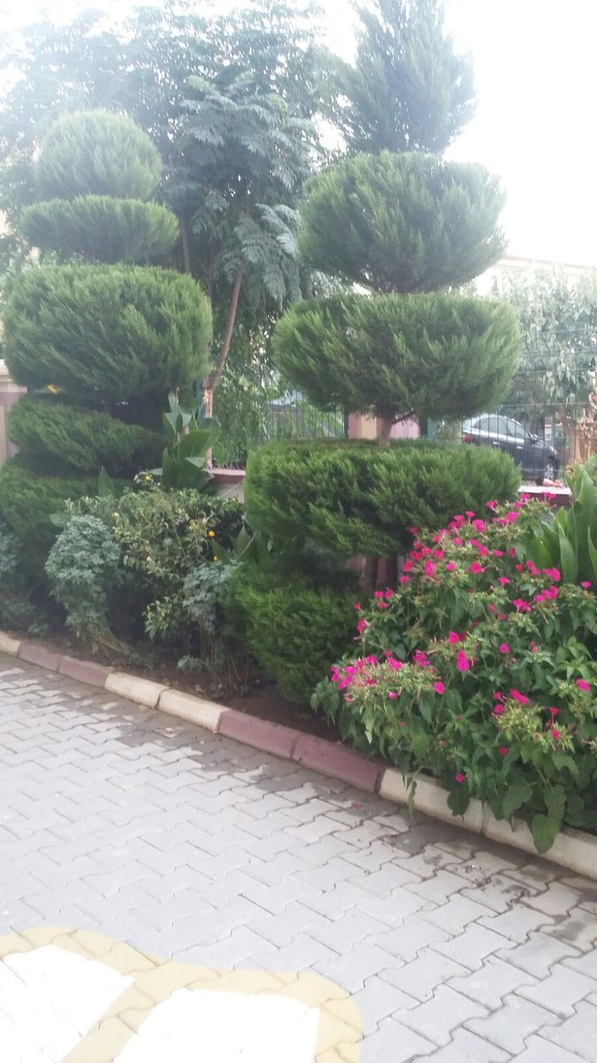 AydinKYGM tweet picture