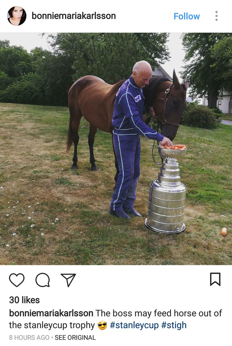 alexiniguez's tweet image. A horse ate carrots out of the Stanley Cup in Sweden. newsinteractive.post-gazette.com/cuptracker/ #cuptracker