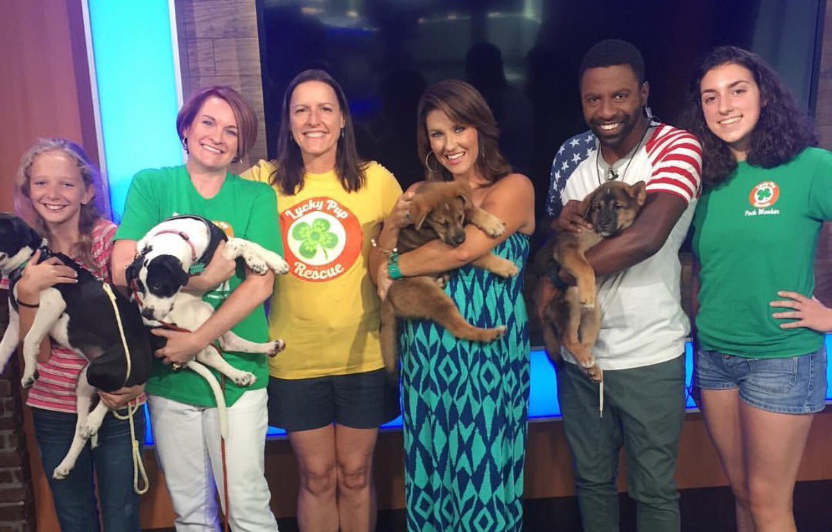 Thanks to @Sceneon7 for having us last Friday! Check out these adoptable faces! #luckypups #AdoptDontShop