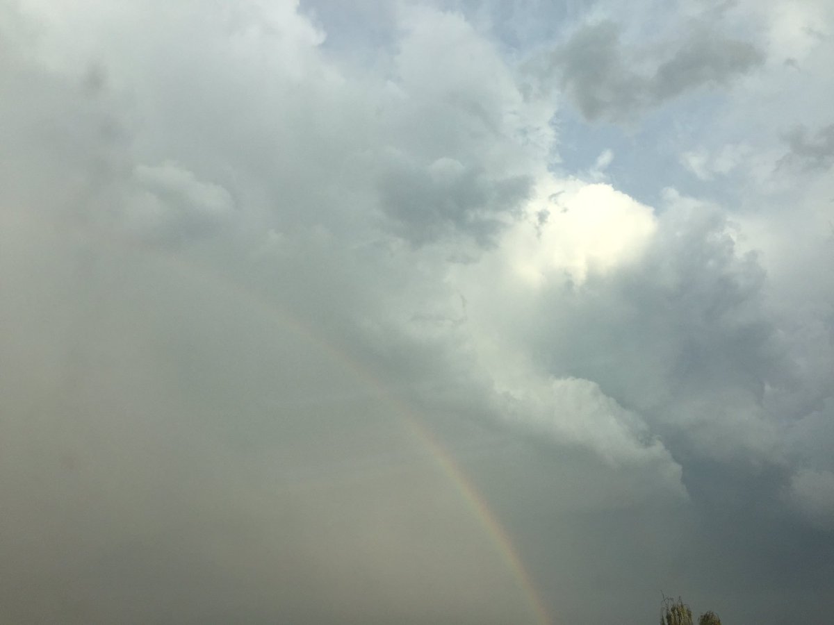 FlyingBogu's tweet image. Uhh ja