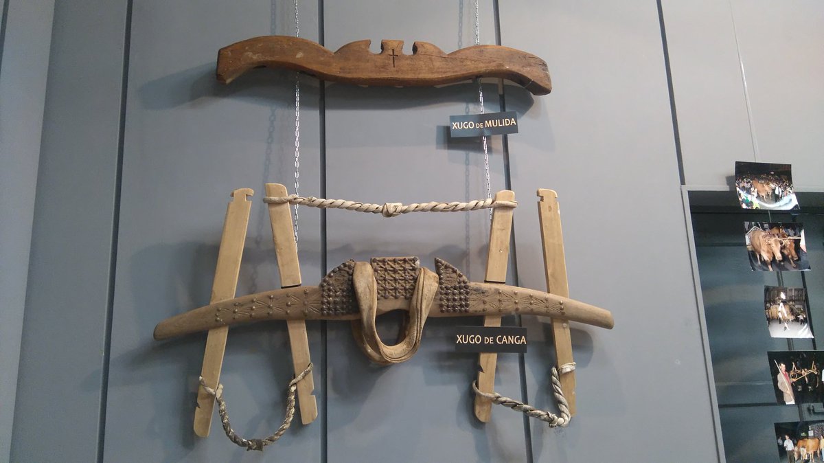 ChantadaConcell's tweet photo. Estamos na inauguración da expo sobre o #FolióndeCarros na #CasadaCultura. Estará todo o mes de agosto.
Ven vela a #Chantada #RibeiraSacra! https://t.co/AdFXGxcnAB