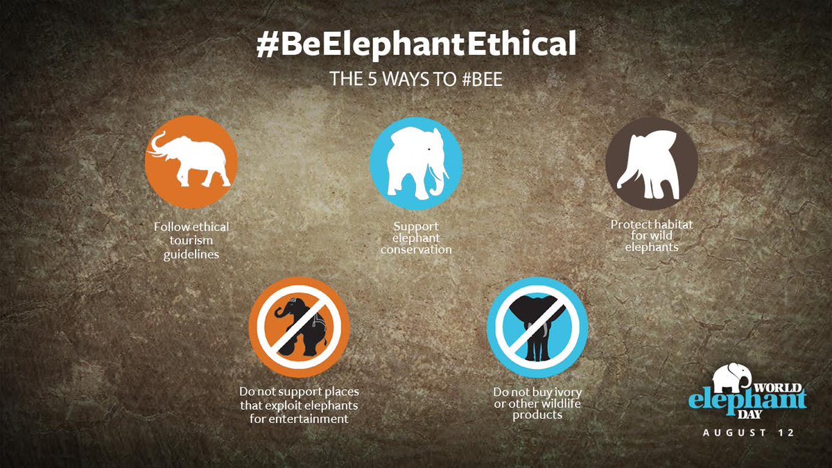 Wondering how to Be Elephant Ethical? Here are 5 great ways to #BEE! RT for #elephants! #BeElephantEthical #WorldElephantDay2017