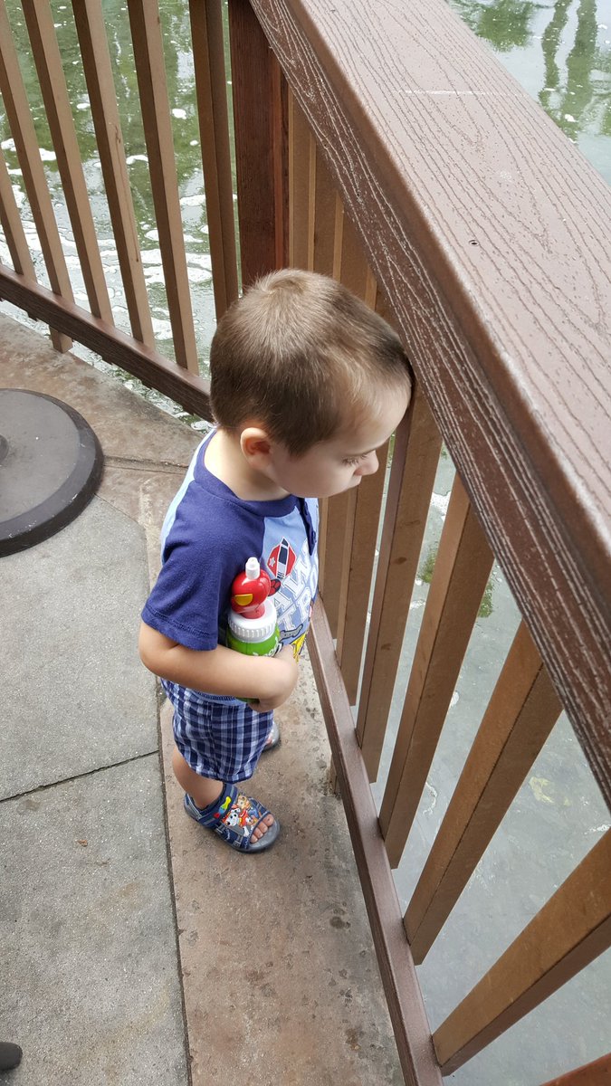 Mr_Johnson_CC's tweet photo. Took advantage of the extra long break to spend time with my son. He is currently fish crazy and the lagoon is full! #CCSRetreat @CompassCs https://t.co/BDxjRZZYlM