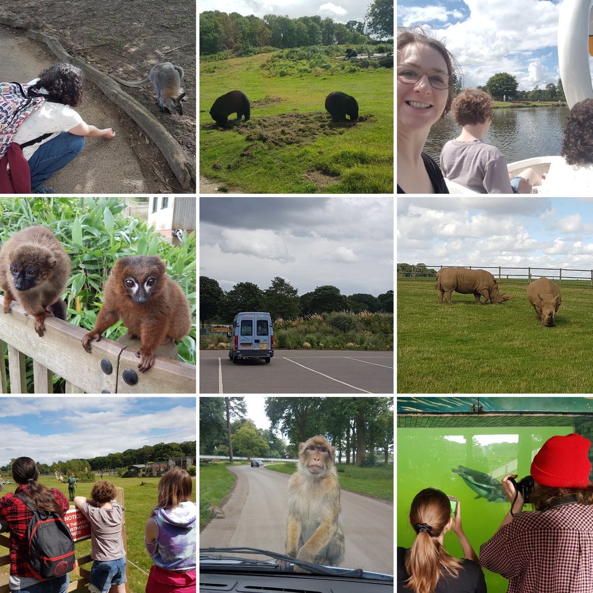 RMAspire's tweet photo. Great day @woburn_safari with some of our @romseymill @RMAspire young women #autism #aspergers #youthwork https://t.co/65FVaupuTc