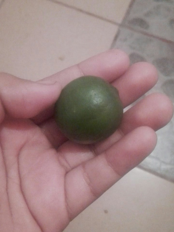 kyunnieryu's tweet image. Rt a este limón, no da suerte ni nada, pero pobrecito, me lo encontré en la calle