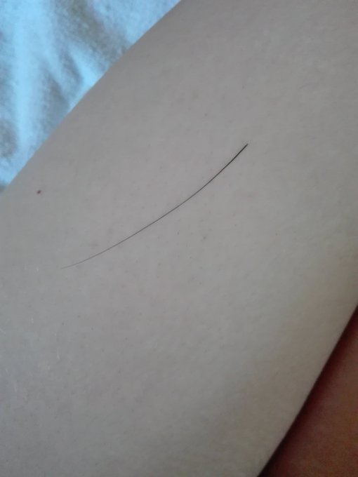 Me encanta encontrarme bigotes por casa https://t.co/5sfW5othCN