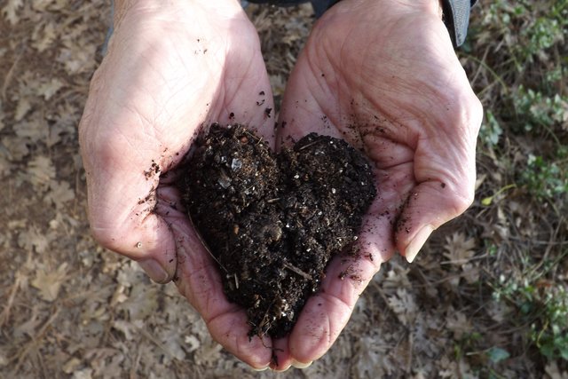 Rochester Topsoil tweet media