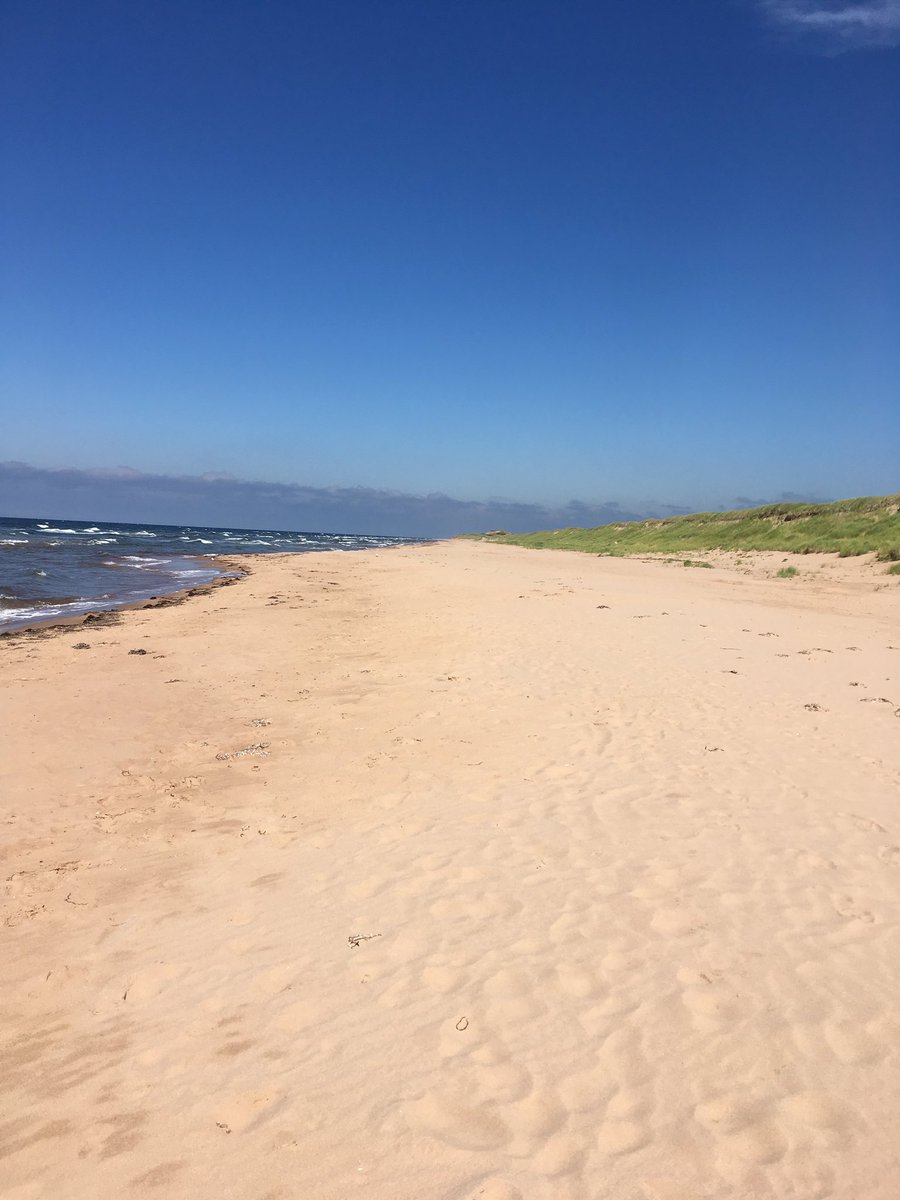 Another beach day on pei#greenwich