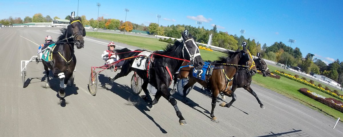 SaratogaCasino's tweet photo. Dark day across the street, but we're back on track tonight at 7:05pm! ENTRIES: https://t.co/0ik9oAdAGG https://t.co/Cly1pTm6SY