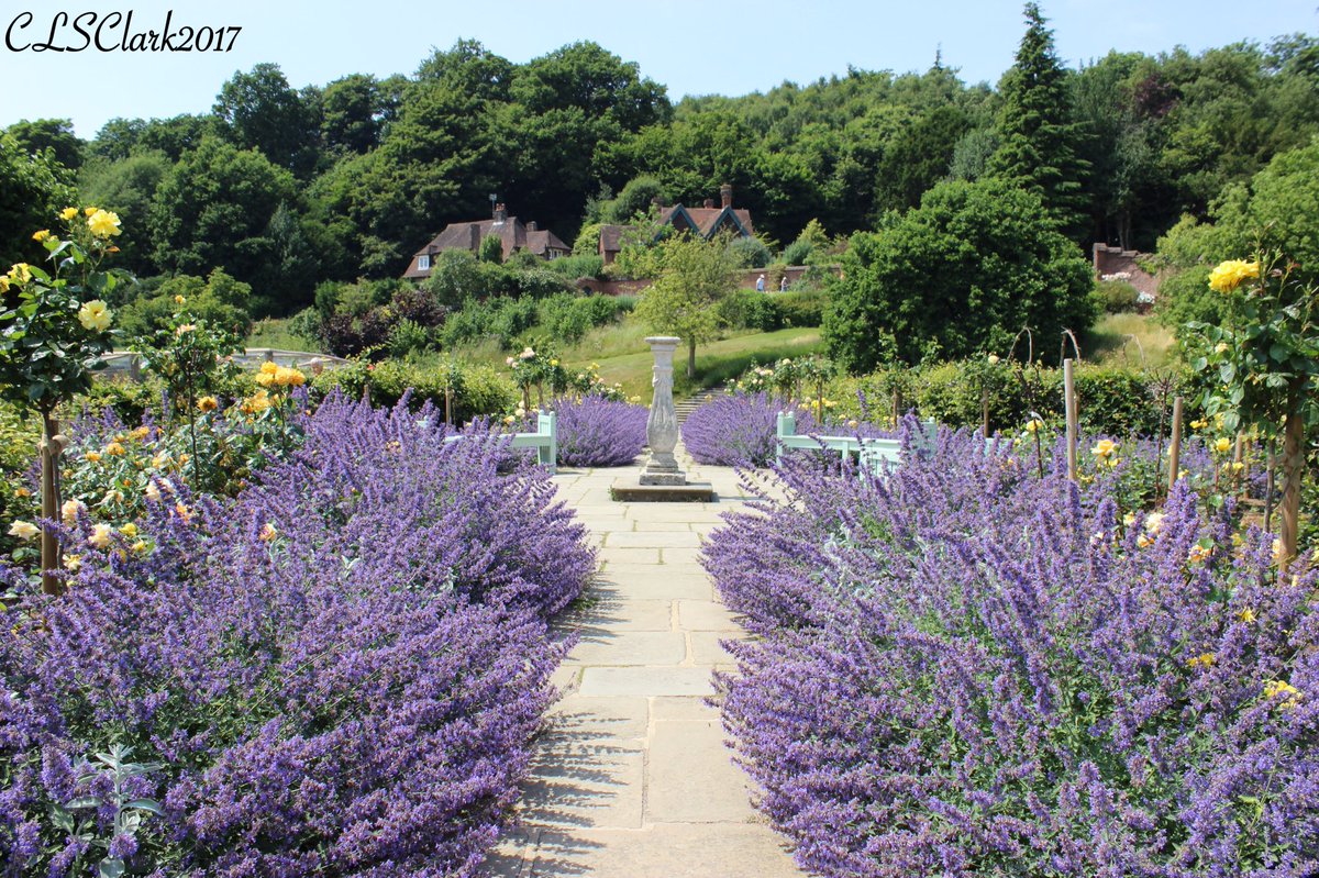 clsc_photos's tweet photo. Beautiful colours at Chartwell Walled Garden #GoldenRoseAvenue #ChartwellHouse #Kent #Churchill #NationalTrust @nationaltrust @VisitKent https://t.co/bwM2VpT93L