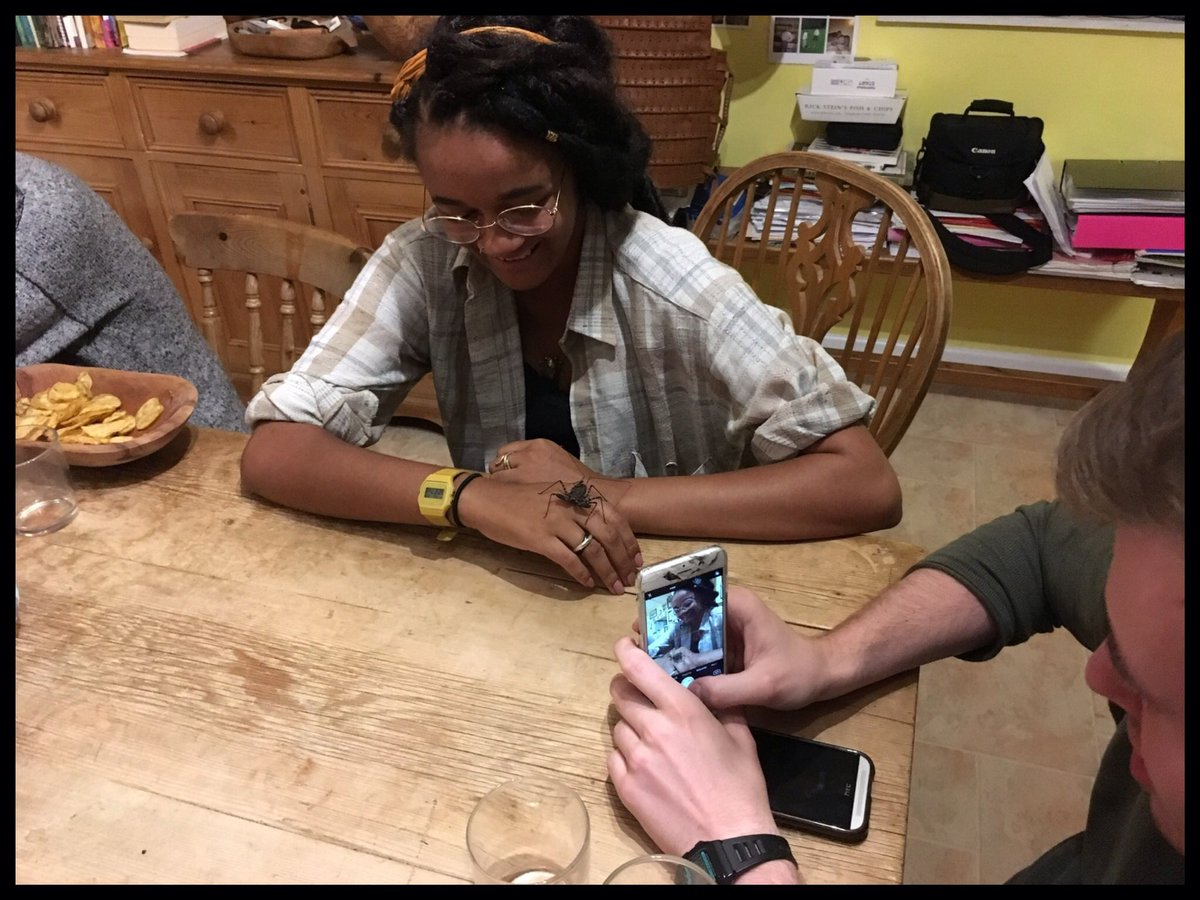 berrycroft_hub's tweet photo. End of day 1 & it's time to get hands on with some tropical inverts (home brew tasting after they are all safely put back) #BugFest17 https://t.co/TJuKsTAqA8