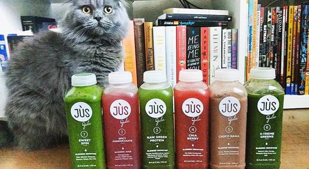 Something's going on between the humans and the mailman. Every time he brings me a box to play with, there's stuff inside for them to use.