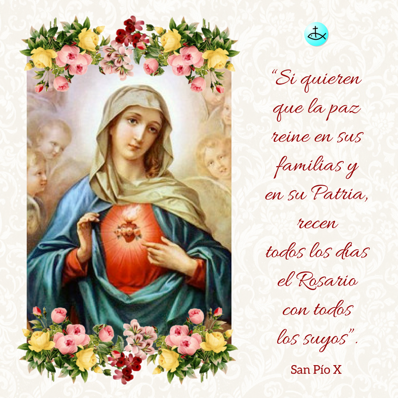 CatolicosEnRed's tweet photo. San Pío X sobre el Santo #Rosario. https://t.co/OtXzU9eD43