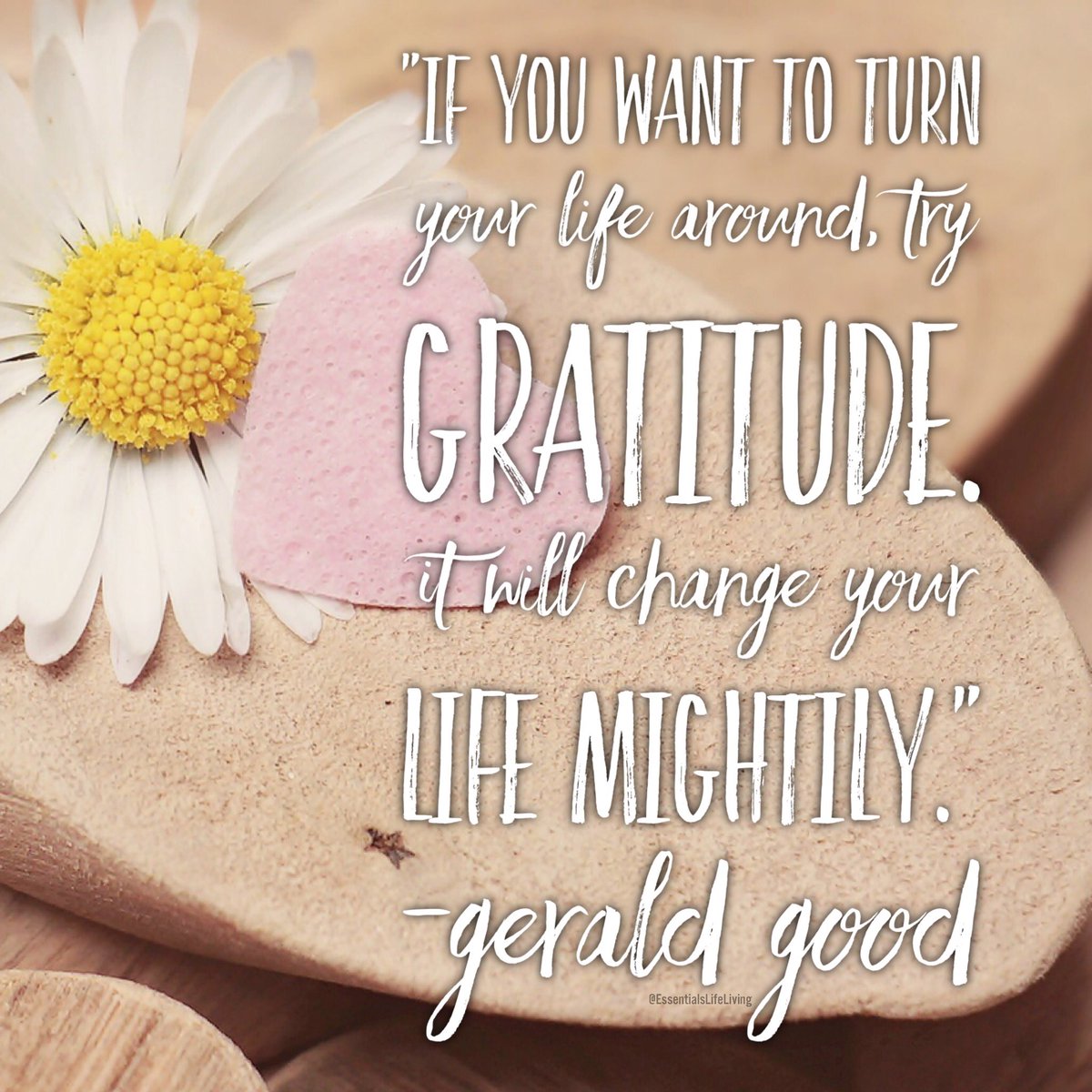 Want to change your life? Try Gratitude. #Gratitude #grateful #bethchange #spreadlove #essentialslifeliving #gamechanger
