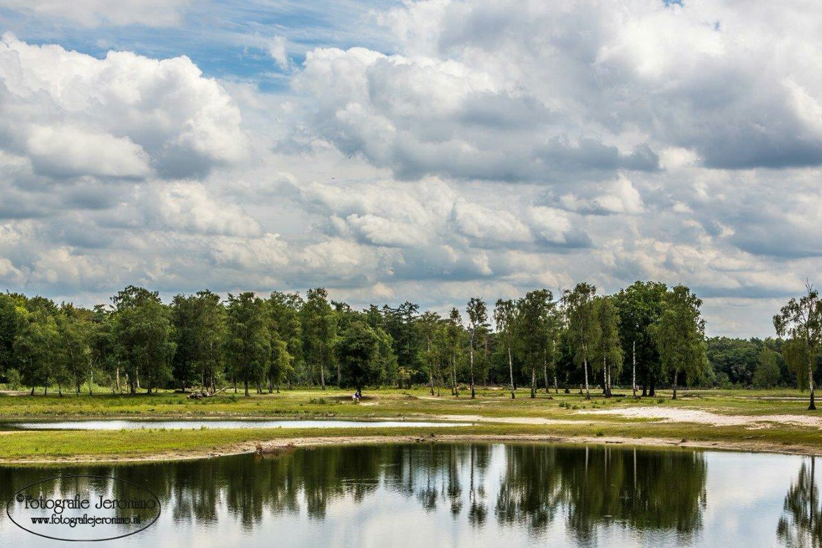 FotografieJeron's tweet photo. Ik heb gisteren weer een heerlijke wandeling gemaakt in het prachtige #BoswachterijDorst! #surae @Bosw8erRobert https://t.co/pWJPdvV8fv