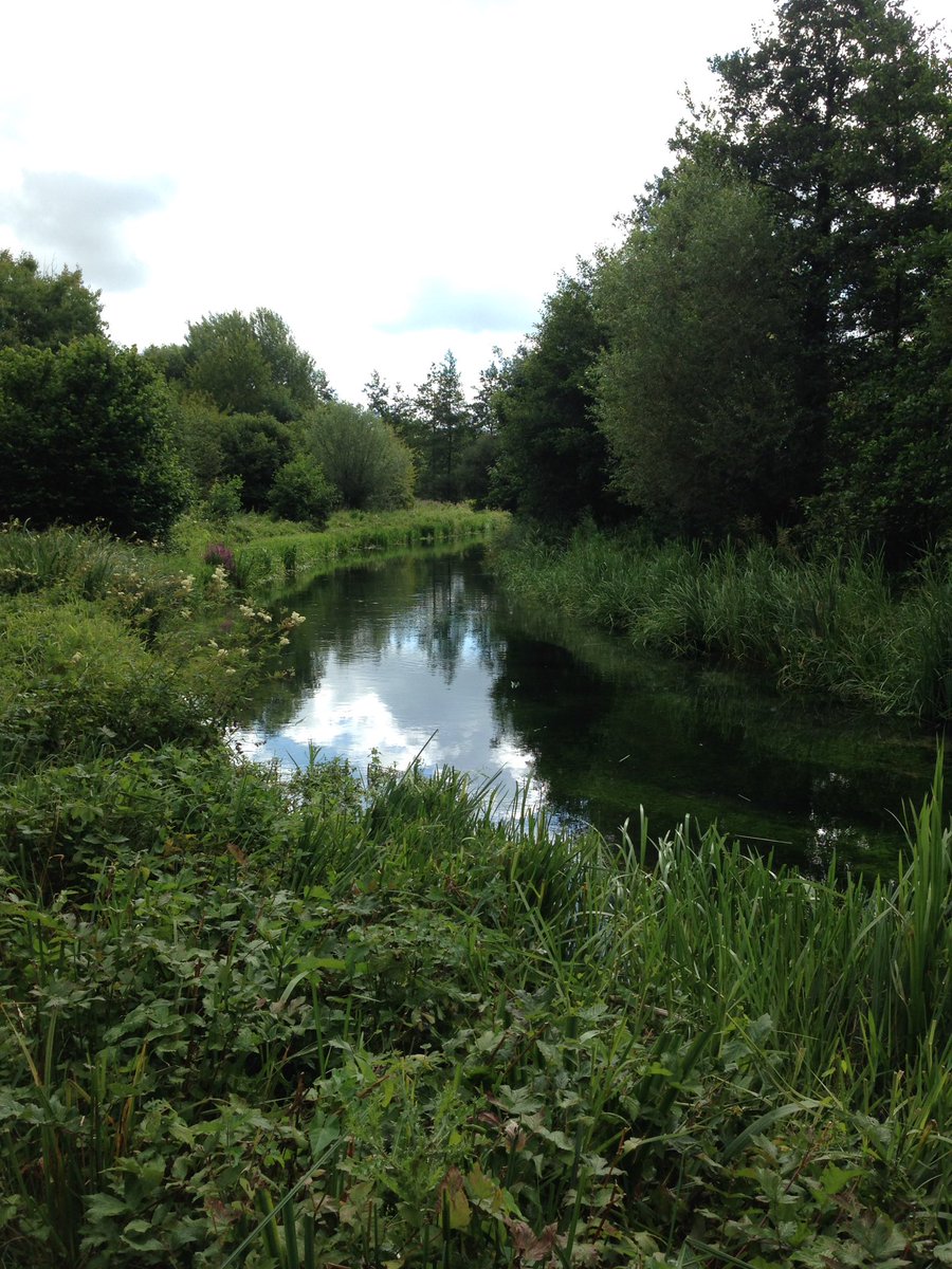 LeggeBourke's tweet photo. Huge thanks to Piscatorial Association #tonybird for hosting me in past 36 hrs fishing stunning chalk streams#test #wyle truley peaceful https://t.co/ZsvWGQEtYo