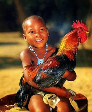 Ifagbamila1111's tweet photo. Ebo can be made for every Odu, in this way there is no problem that cannot be solved using Ebo.

ASE!!!
#Ifagbamila 07013763969 #Babalawo https://t.co/aEmK4hWEN8