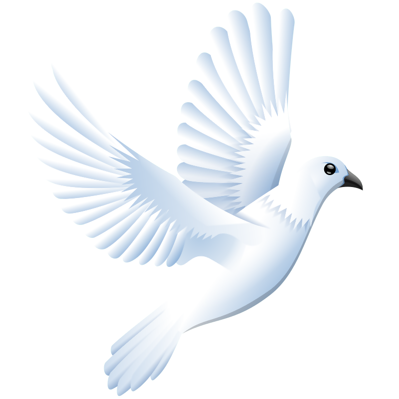 MasteMassage's tweet photo. The world need a massage to relax with recent news.     
Master invite all to have a massage to peace. 😁#peace #massage #world https://t.co/w6XD4QLmdM