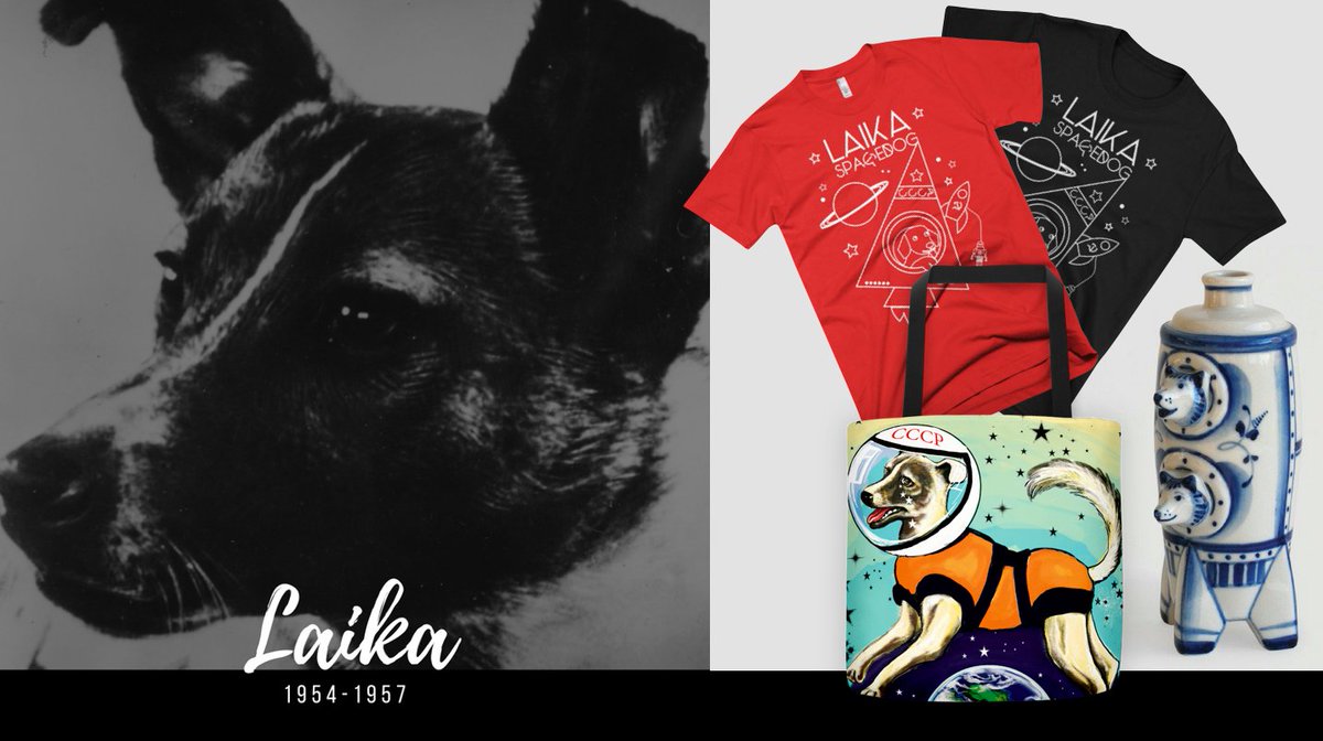 Remembering Laika, the first dog in space. 