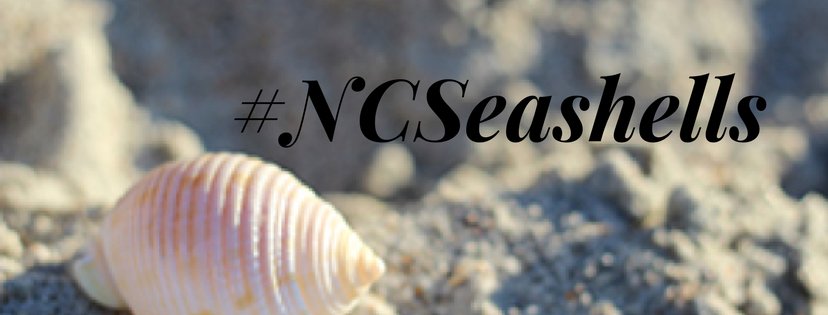 UNC_Press's tweet photo. Mr. Seashell's legacy lives on. Read more about Hugh Porter and Seashells of NC on the blog @SeaGrantNC #NCSeashells https://t.co/t6jPhrsEv7 https://t.co/iqZiGLcbE6