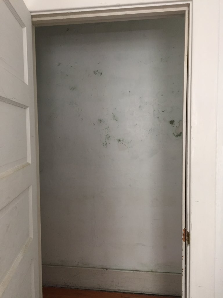 140grandma's tweet photo. @Airbnb fail.  And they've only offered partial refund for unsanitary rental. https://t.co/EefeMg2xSC