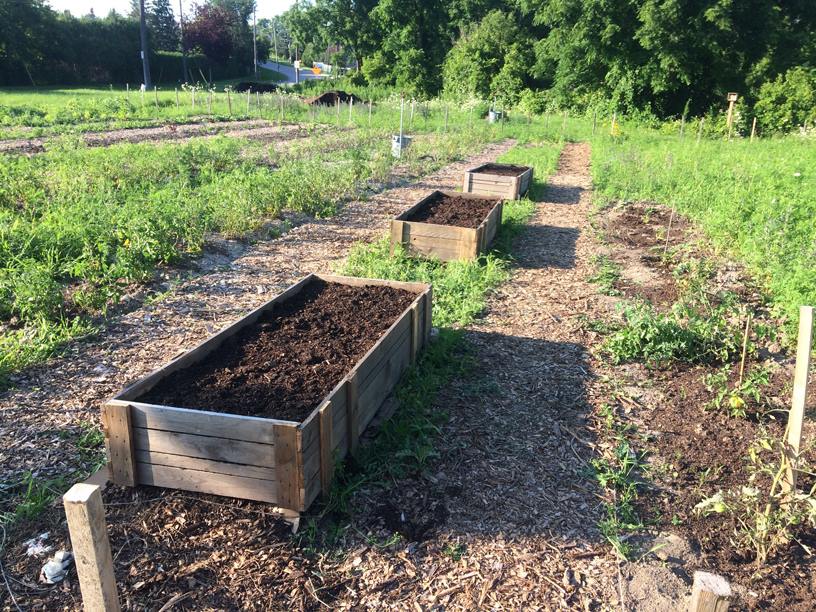 YRFoodNetwork's tweet photo. New raised beds at our #LondonandMain #CommunityGarden after the #GardenIntervention! Thanks to Rob from @NewmarketLib for the photo https://t.co/8a6ryHTwkP
