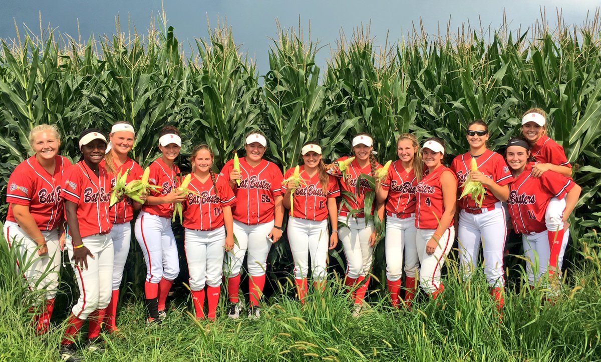 BatBusters (FWBatbusters) Twitter