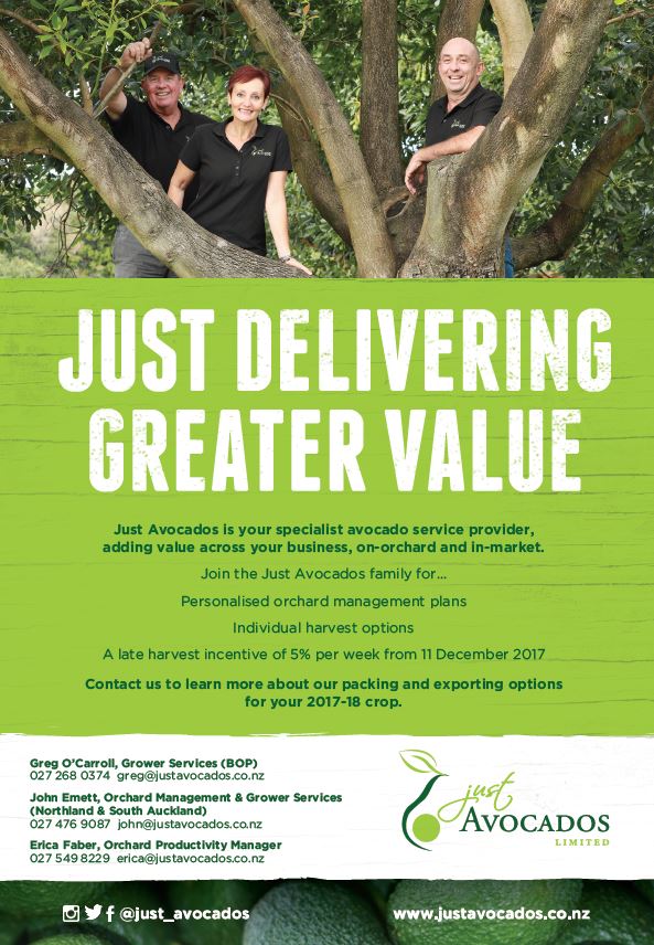 Just Avocados 🥑 tweet media