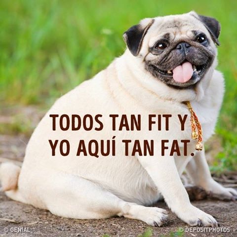 Roberto Contreras tweet media