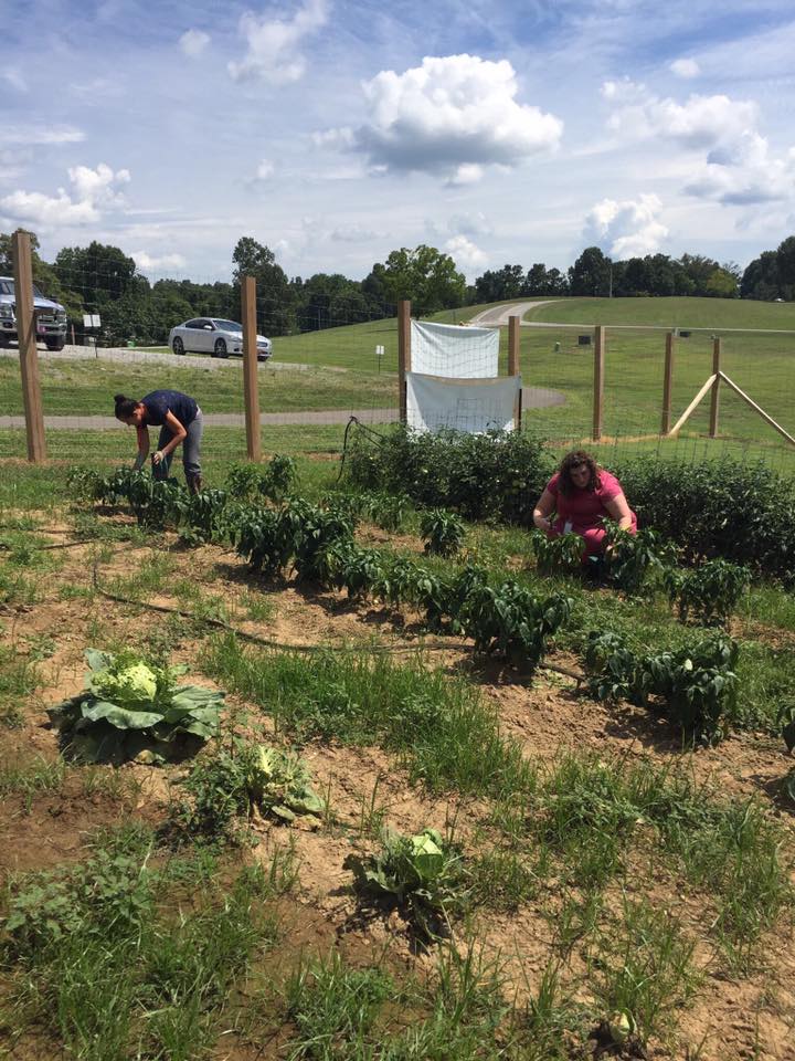1776Bank's tweet photo. Delivered 47 pounds of peppers to the Hopkins County Christian #FoodBank today! #IBGreenAcre #1776revolution https://t.co/SxyQqEa70N https://t.co/KxtJQNmjDg