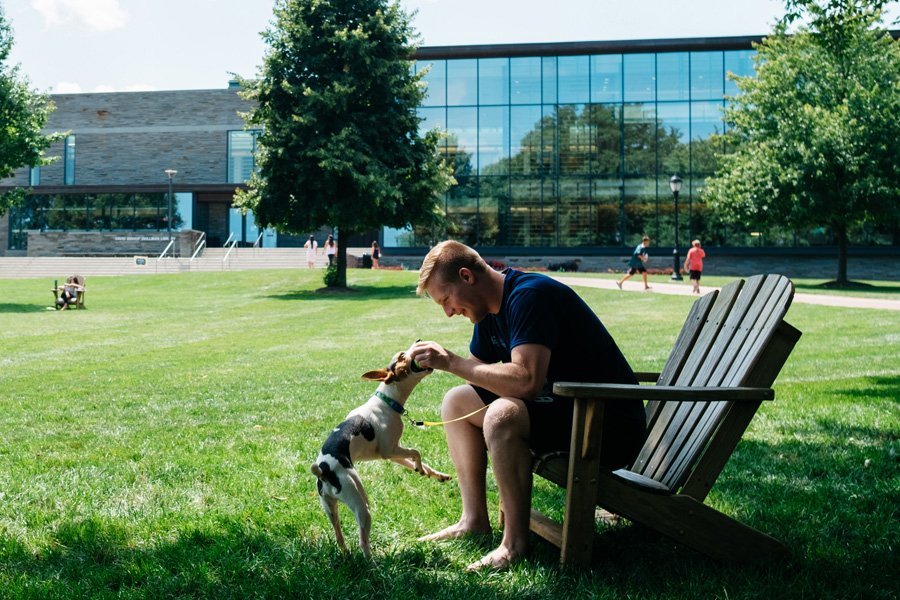LafCol tweet picture
