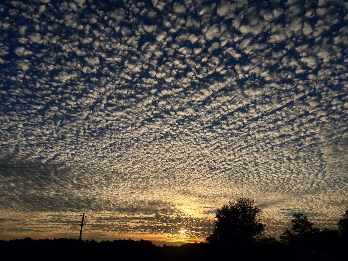 TammiElbert's tweet photo. Yesterday we had a #MackeralSky in #washmo 7/31/17 @SteveTempleton @StormHour @GMA @greatdaystlouis #MOWX @weatherchannel https://t.co/Gi0RIlVkJi