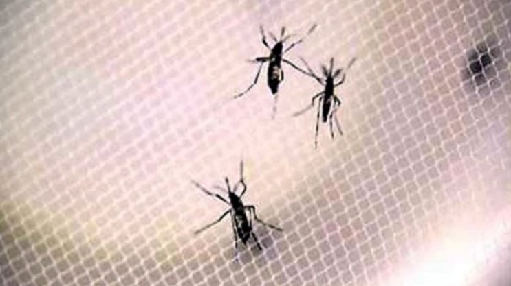 First sexually transmitted case of Zika in Florida reported for 2017 bit.ly/2f65Pxj https://t.co/qBMqON1TfS