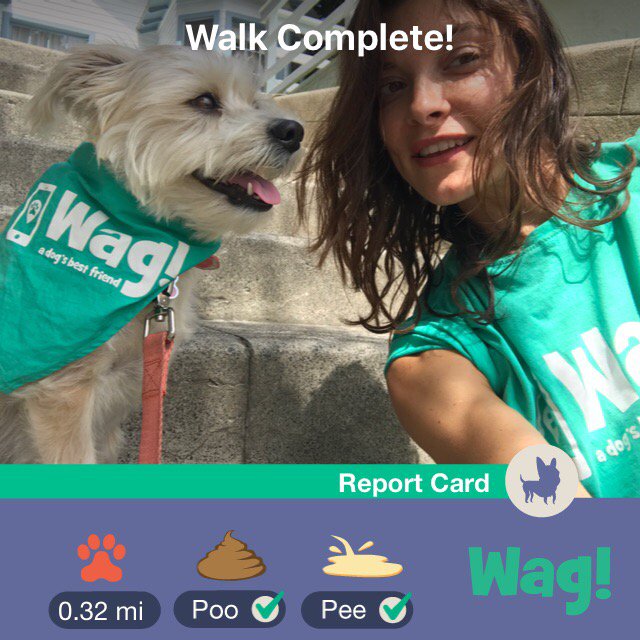 EvaCard's tweet image. Meet Riley.. . 

Use my promo code "EVA9369" for $20 of FREE Wag credit! appsto.re/us/rINe4.i