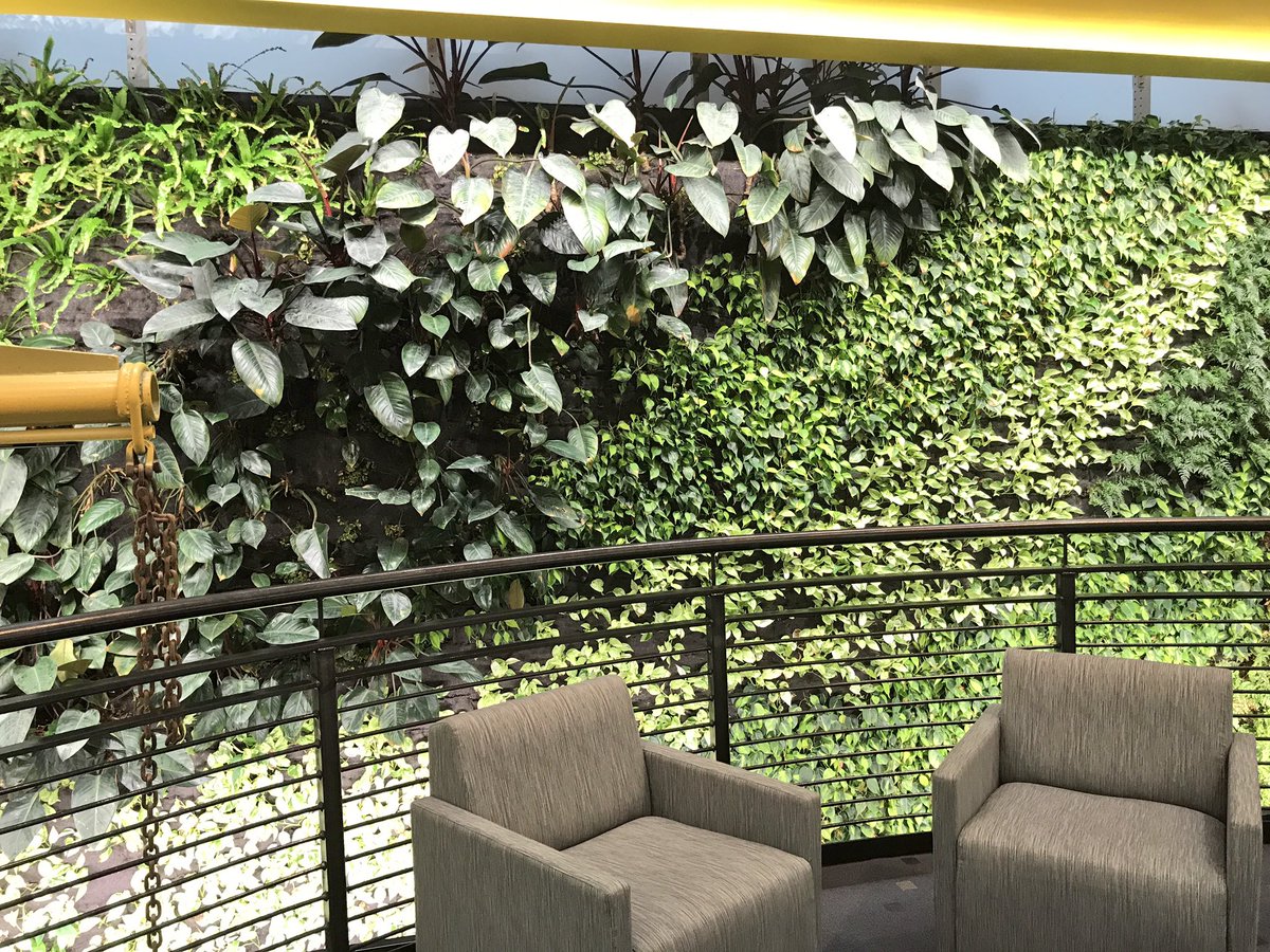 Stacey Vernon tweet media