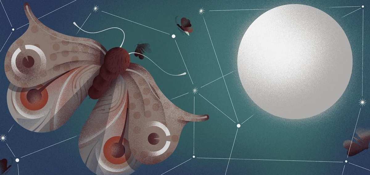 Convert your ad traffic with personalized landing pages buff.ly/2w3730g