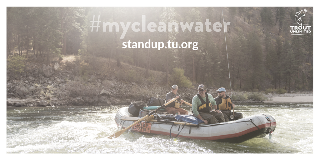 TroutUnlimited's tweet photo. Clean Water rules: Stand up for your small stream today https://t.co/o897n7x45A #mycleanwater @EPA https://t.co/f3Hb1Vtowa
