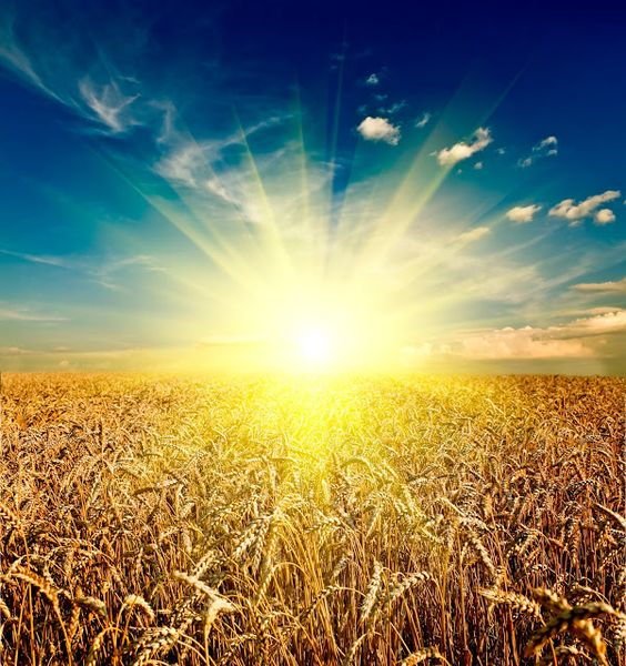 Palestra Gratuita no IPPB: “Relatos de Experiências Fora do Corpo na Bíblia" ippb.org.br/blog/relatos-d… #WagnerBorges #IPPB via <a href="/IPPB/">IPPB Oficial</a>