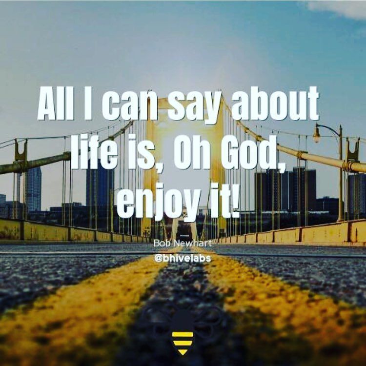 gamificatio's tweet photo. On life. 🏝🛣🐝
#BHIVE Perspective
.
.
.
.
.
#entrepreneur #smm #startups #bhivelabs #entrepreneurship #startup #wont… https://t.co/2JUxkWrKR3 https://t.co/nSogHrYaRN