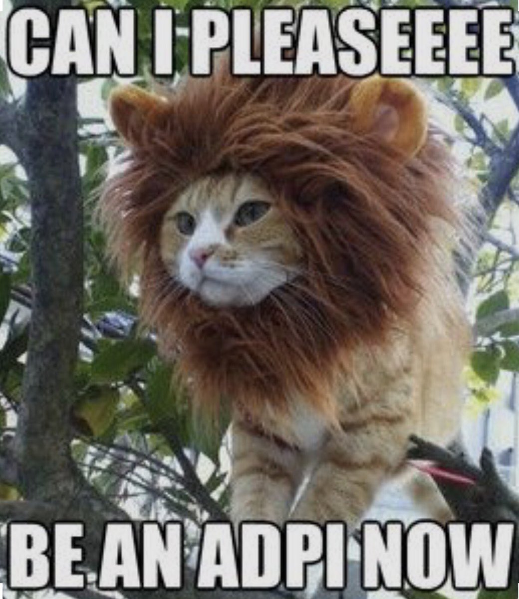 UNLVADPi's tweet photo. When it's finally August/Leo season and you are a month closer to recruitment! 🦁😍💕 https://t.co/rvZWxEshi9