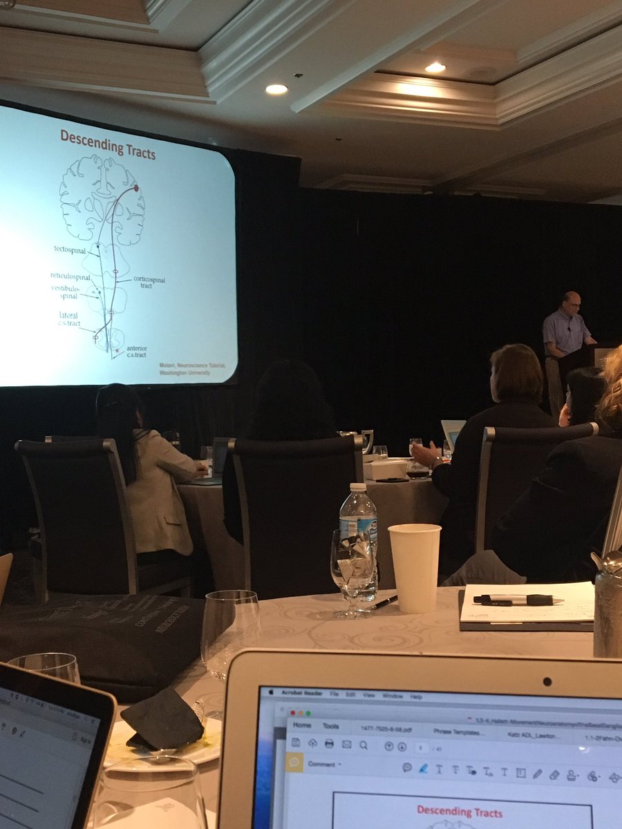chelzdoh's tweet photo. Loving day one of The Aspen Course! Neuroanatomy review always gets my pumped up! https://t.co/K4nVZvgsYH