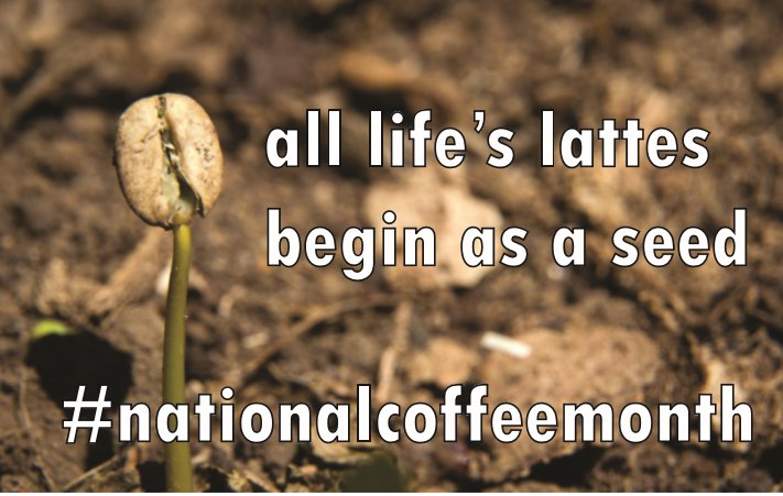 CafeCampesino's tweet photo. Happy National Coffee Month, Folks. #cheers to your health. #coffeeisms #nationalcoffeemonth #coffeelove #smallfarmercoffee https://t.co/RtSezSOQQ1