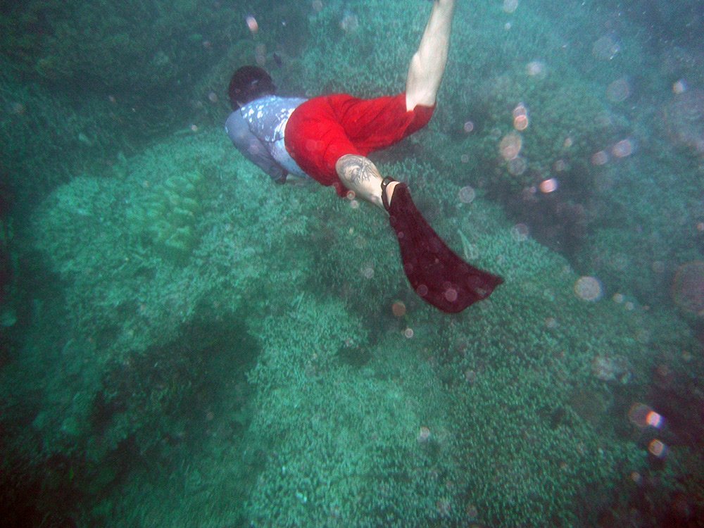 Ecogeographers's tweet photo. We are building the #coralcommunities story on instagram. Join us there and see a #visualmethod emerge around the theme resilience and #reef https://t.co/7BLcn6qYsJ