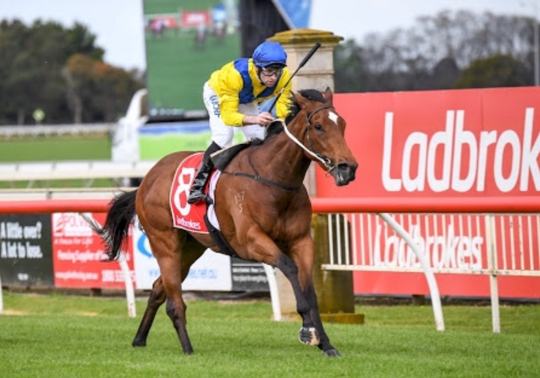welovethepunt's tweet photo. Shane Templeton has your Sale card sorted.

TIPS 👉https://t.co/pe4Avz4w6D https://t.co/OkglVwNu79